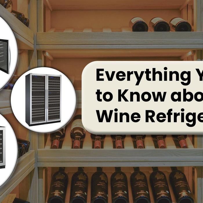 Everything You Need To Know About Wine Refrigerators